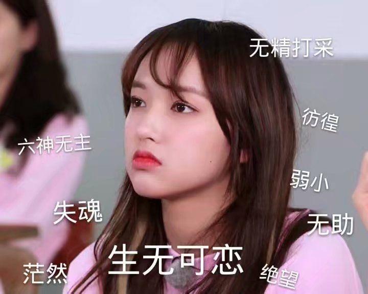 有没有程潇表情包