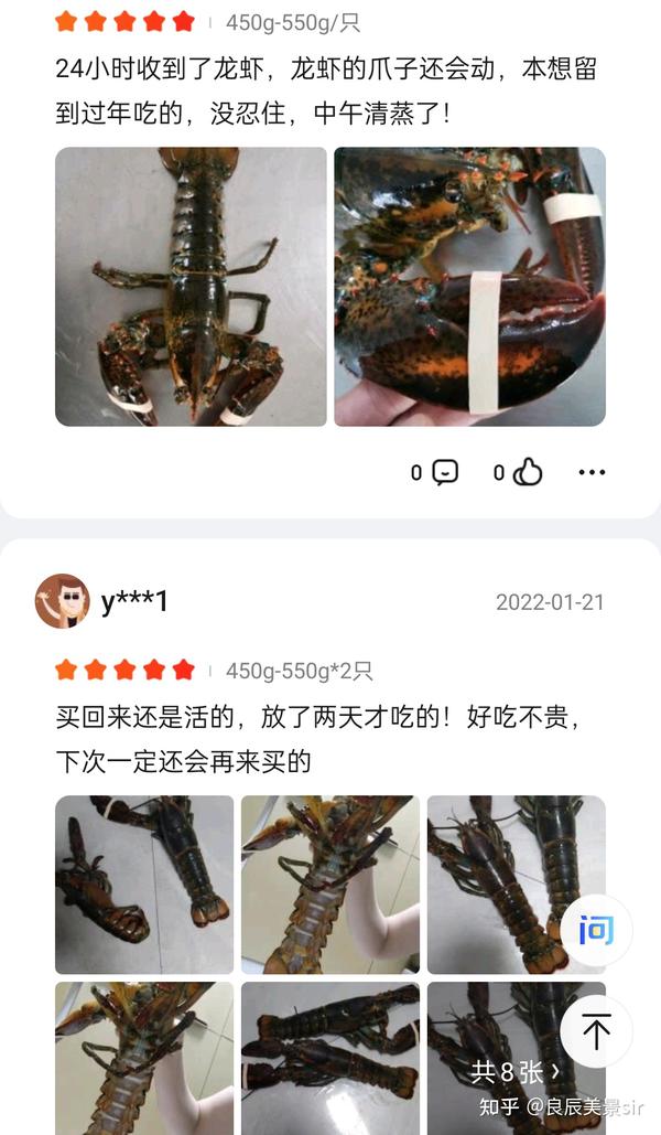 波龙到底有多好吃?经常看到许多美食博主朴实无华的吃着波龙虾尾 就想问问有多嫩！?