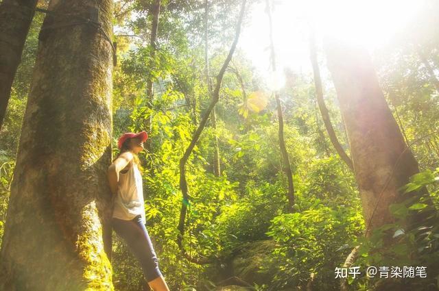 暮春来,初夏到!20首暮春诗词,告别最美春日 - 知乎