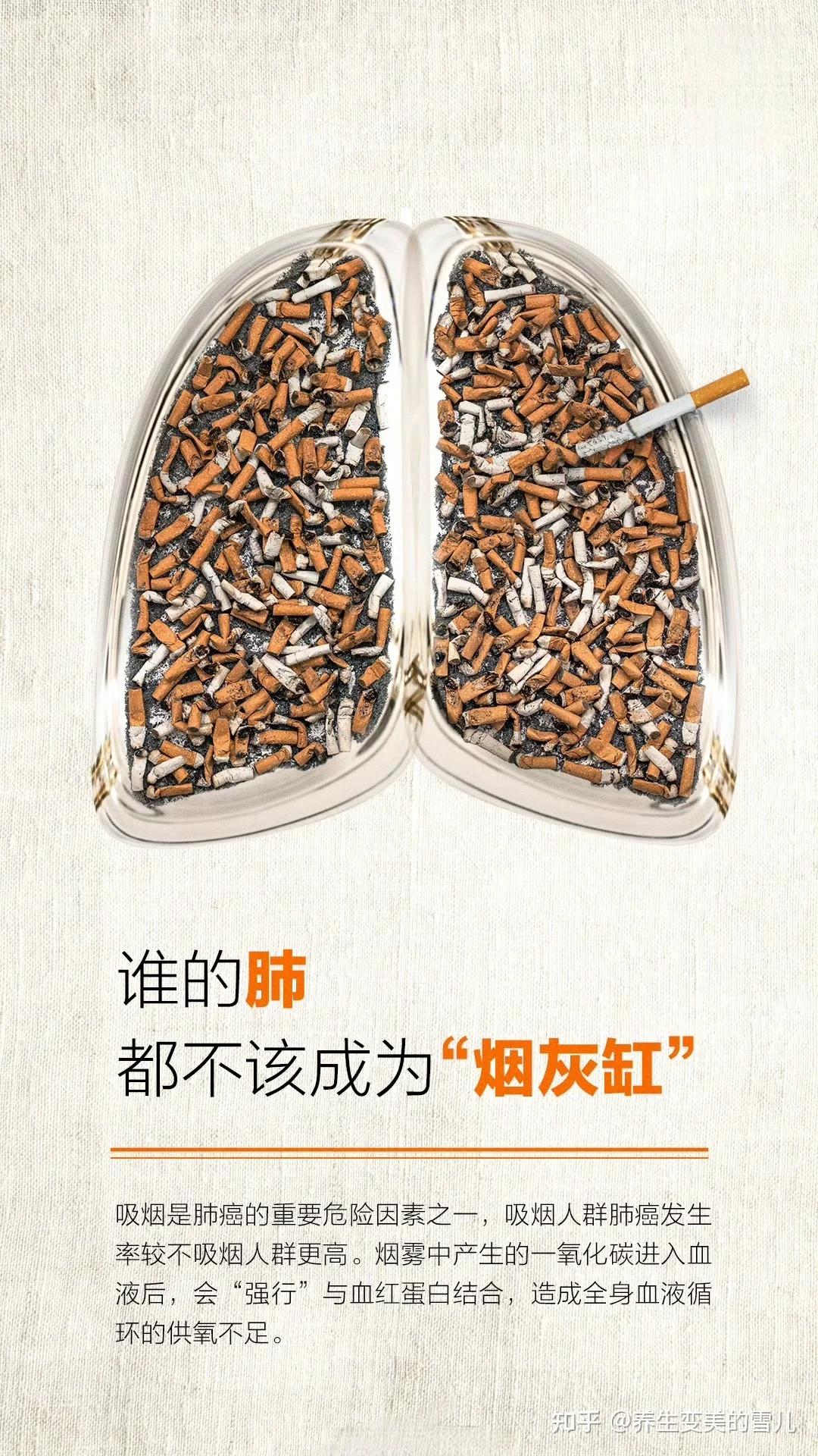 一天一包烟,多久会死?