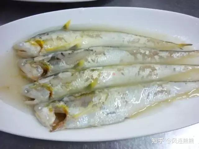 （81）丨刀鲚 - 知乎