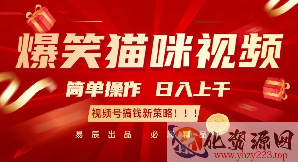 爆笑猫咪视频：简单操作，日入过K，视频号搞钱新策略【揭秘】