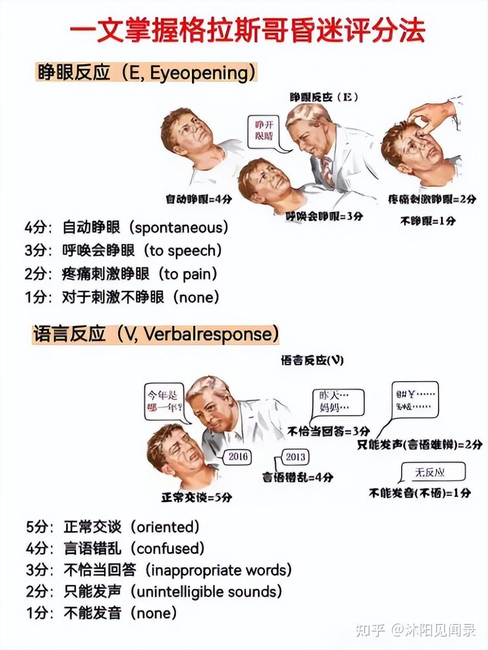 格拉斯哥昏迷评分 - 知乎