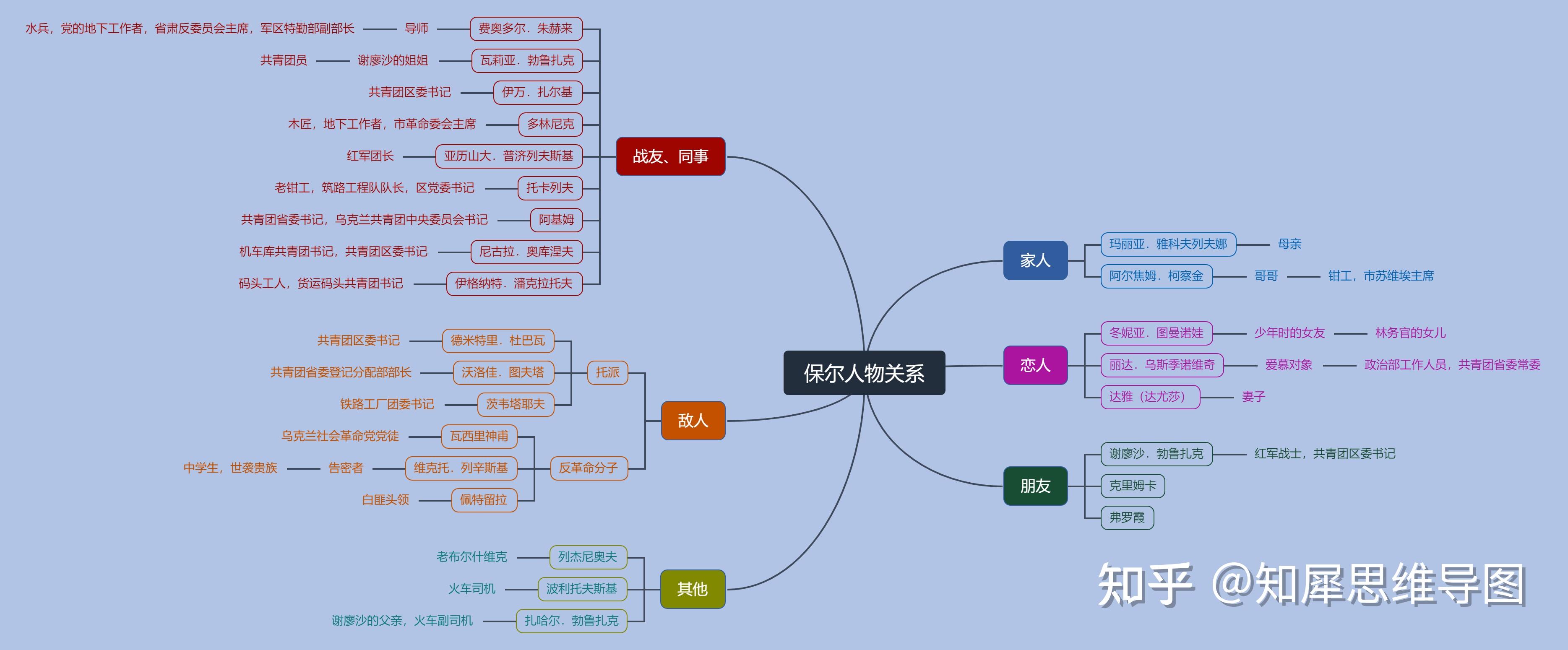 保尔社会关系图图片