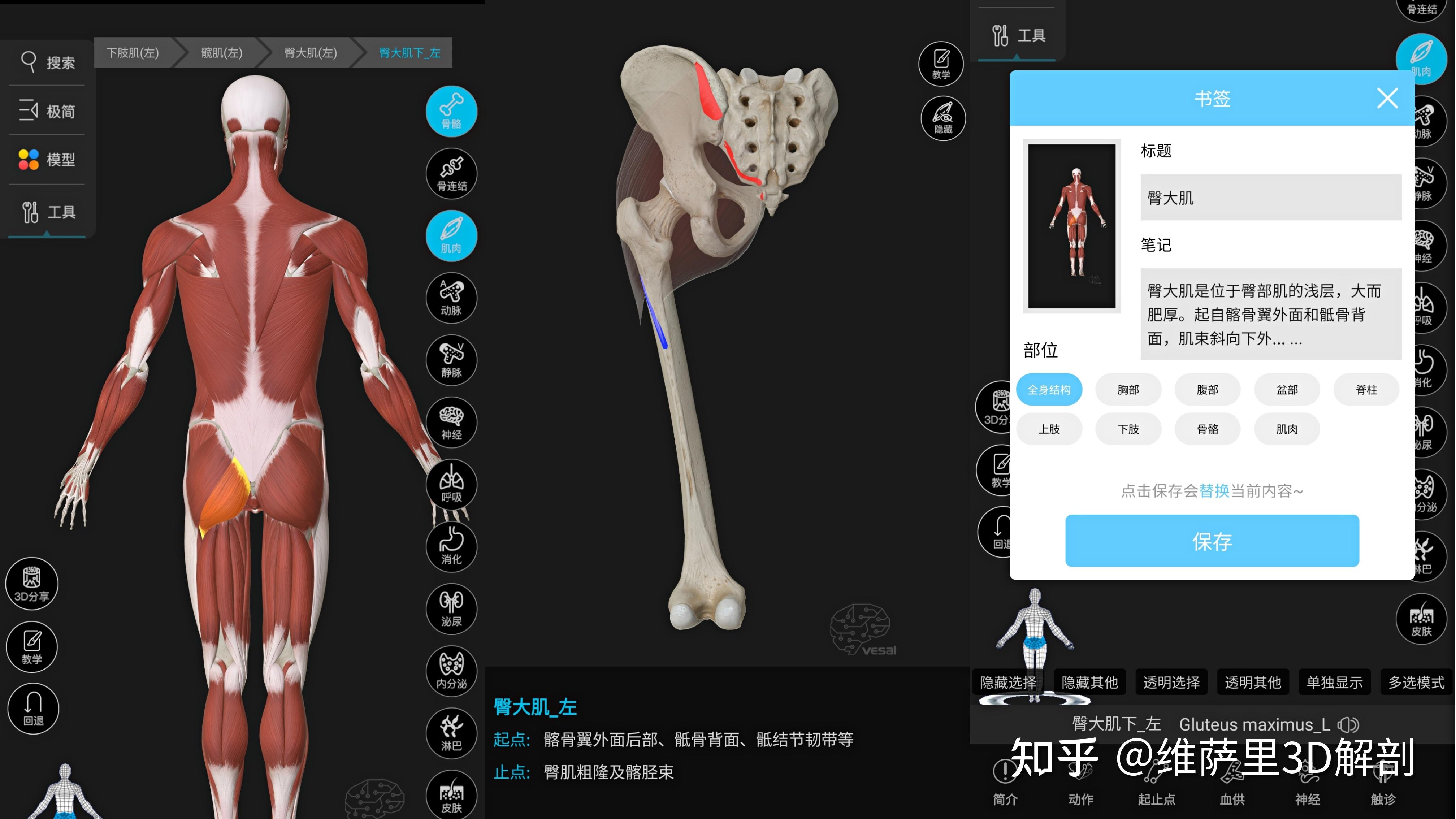 有什么比较好的解剖软件？ - 知乎