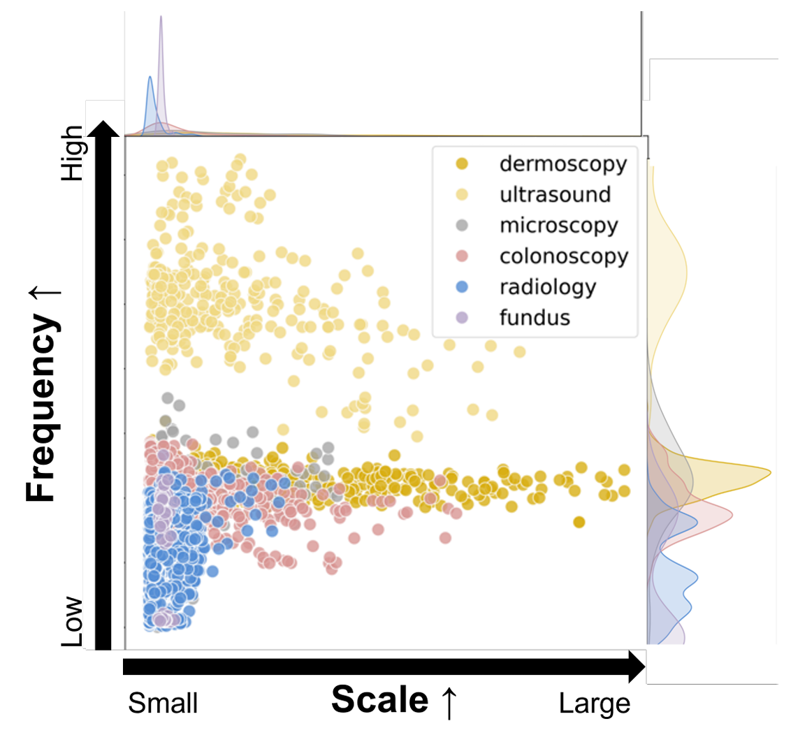 【CVPR2024】Generalizable Medical Image Segmentation by Multi-Frequency ...