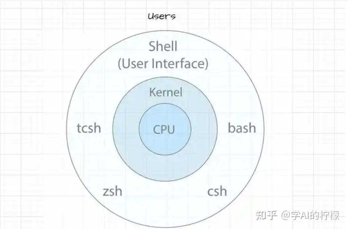 shell和python的作用域都是以函数为作用域吗? - 知乎