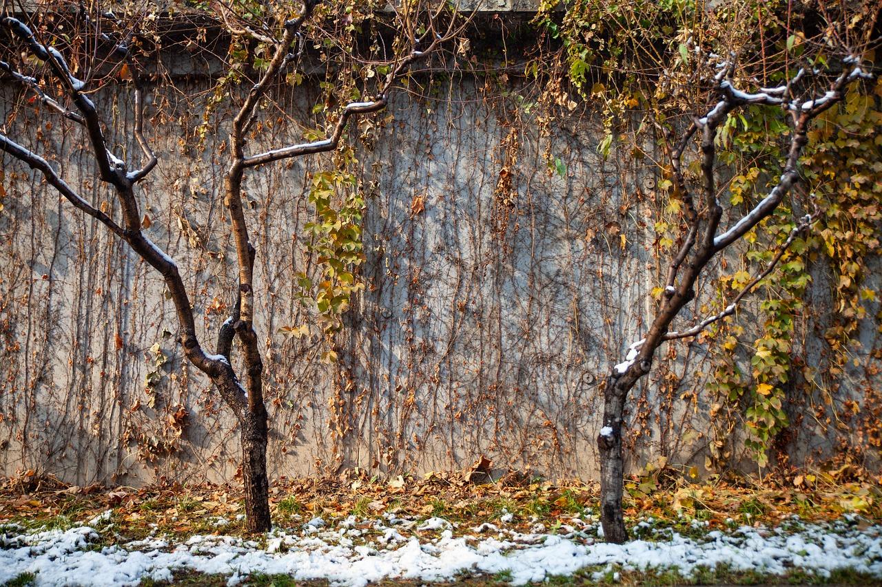 暖气设备全面介绍