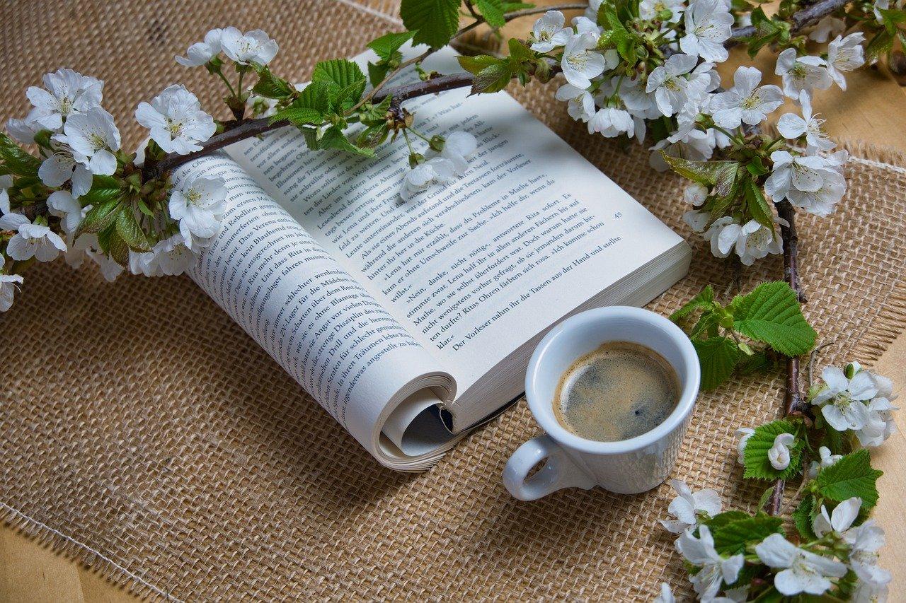 种菜盆用什么材质的好