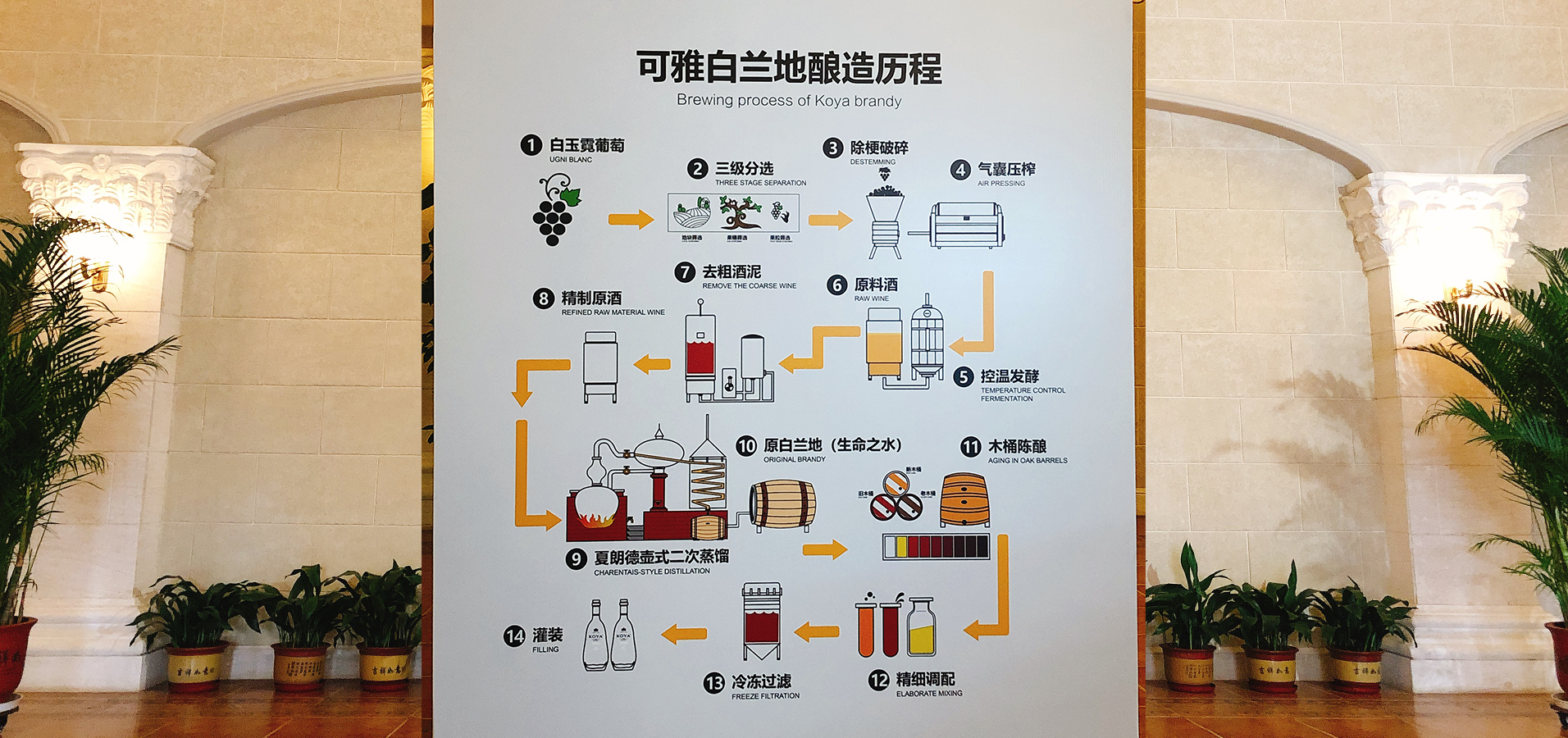 白兰地的工艺 - 知乎