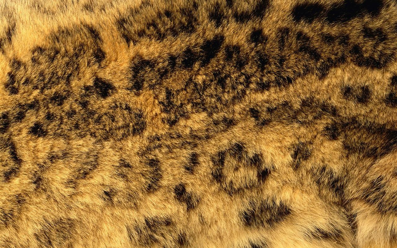 1. 独特装修风格