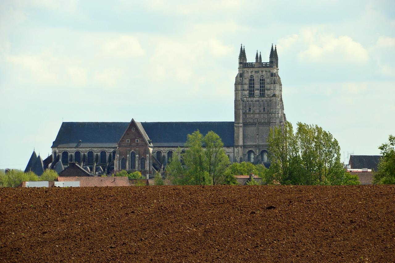 3. 高学历要求高