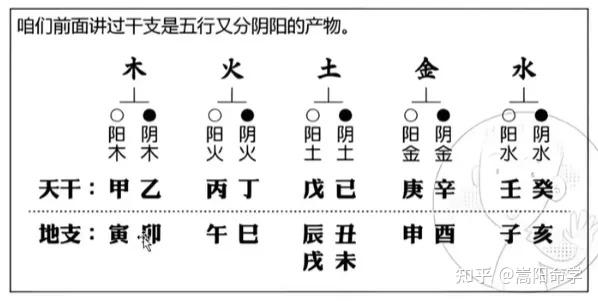 十二地支基础知识以及三会、三合，六害等详解 - 知乎