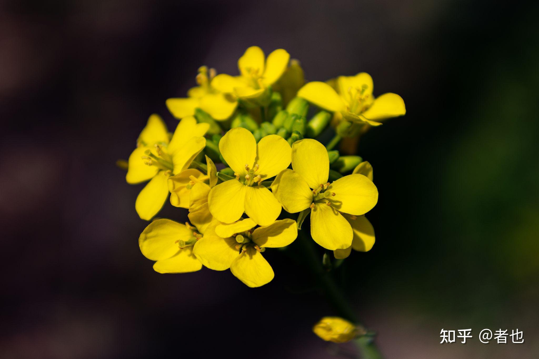 请问"拍风光"是必须用低感光度,上脚架,以创作为目的吗?