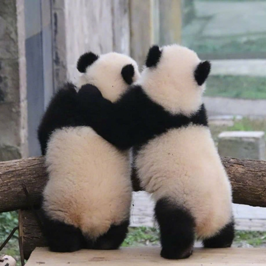 有没有一眼就很舒适的微信头像