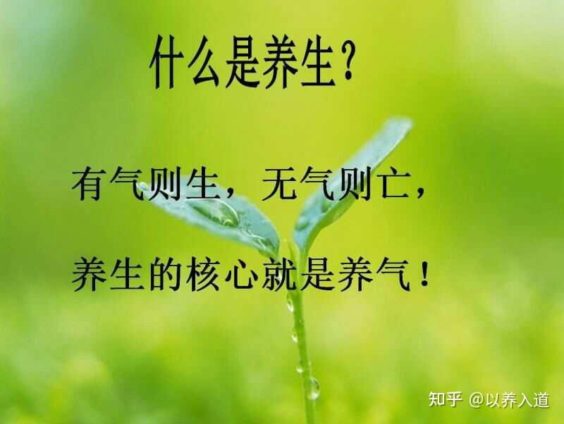 浅析“养气论”,探索养生之大法 - 知乎
