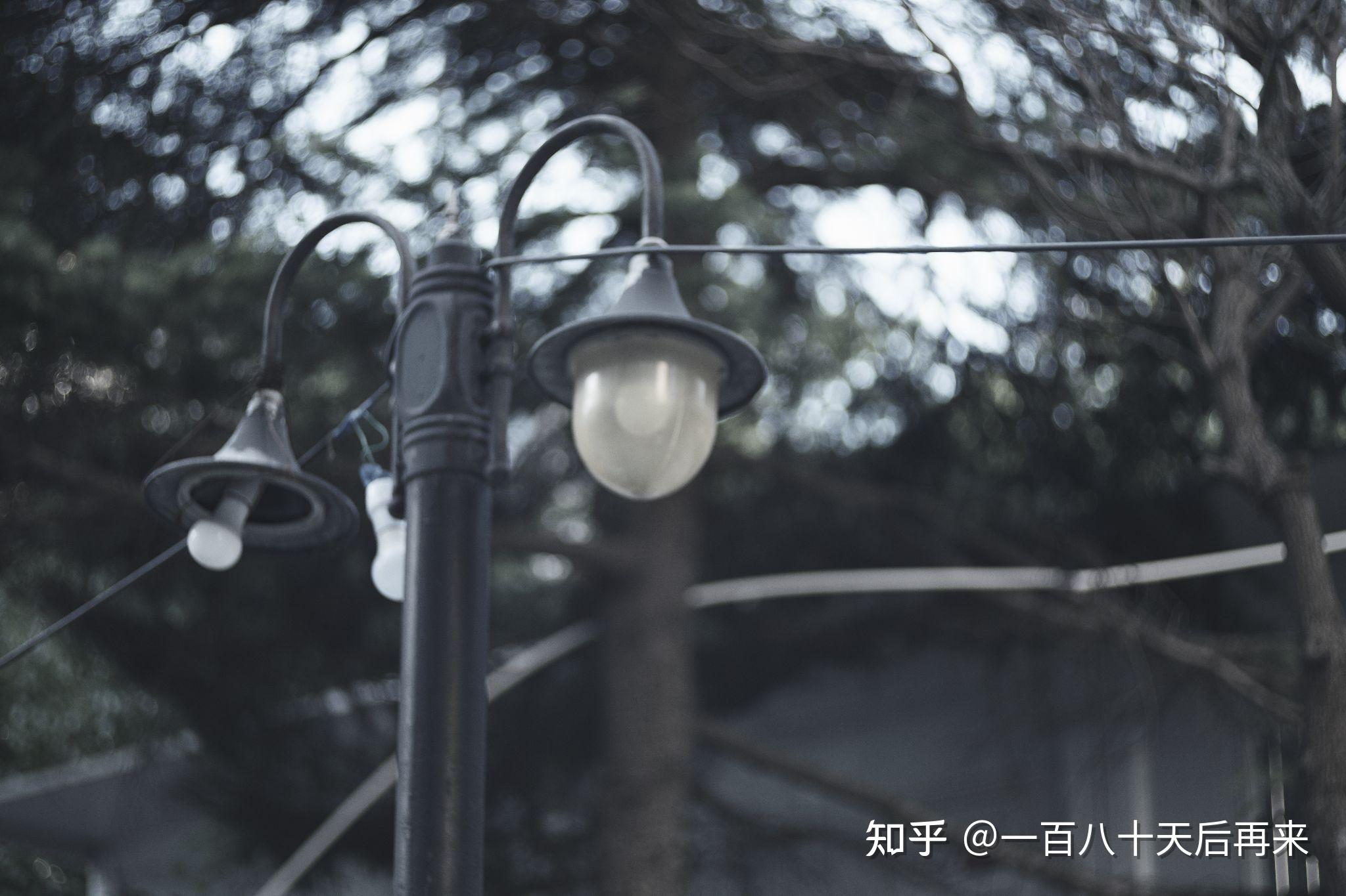 半幅机身上能拍出明显旋转焦外的镜头有哪些? - 知乎
