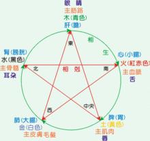 中医蕴含的五行学说,五脏之间的关系 - 知乎