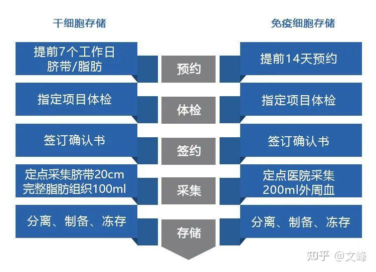 # 干细胞存储年费：成本构成与价值解析——优劣势对比
