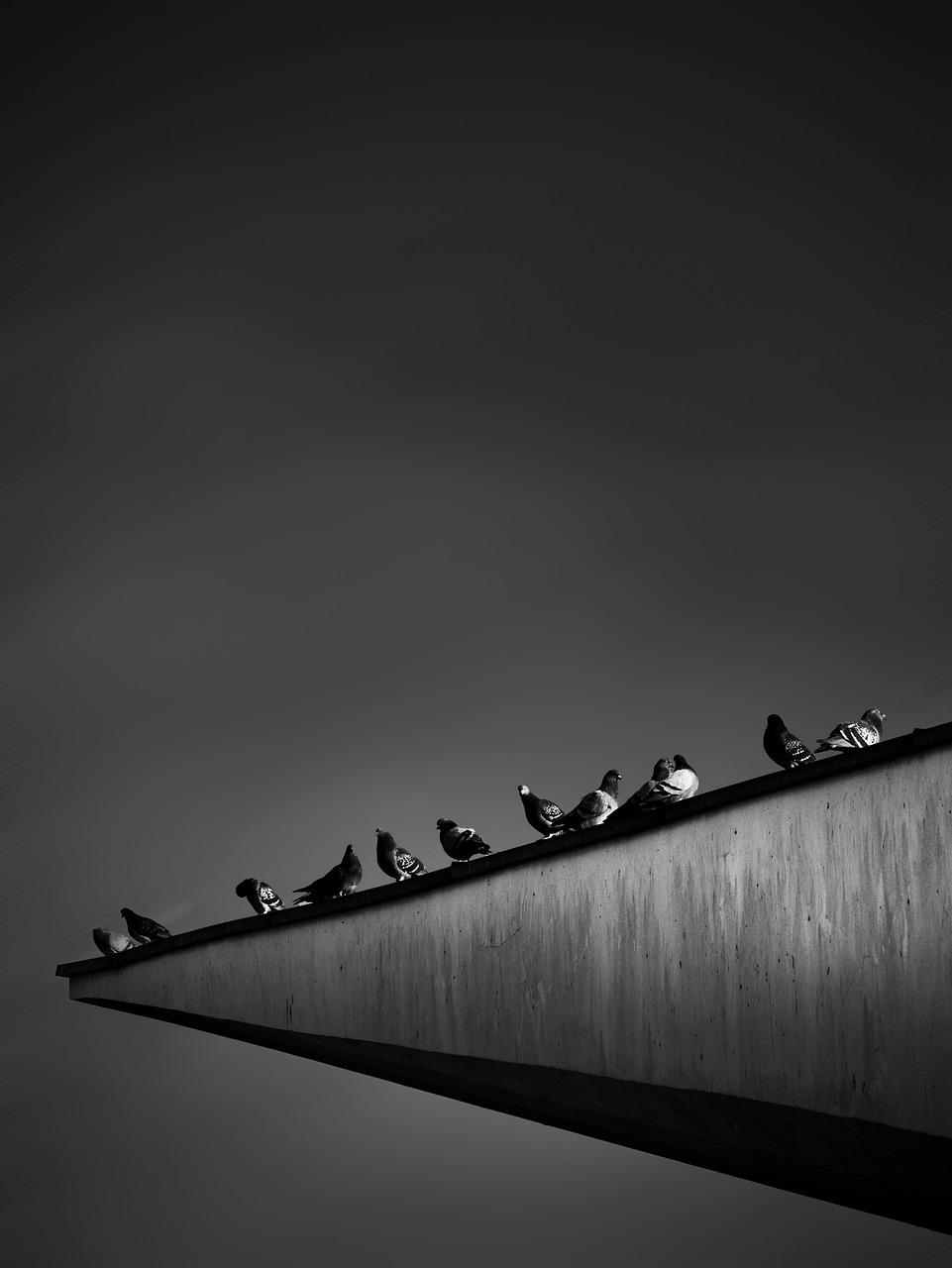 哈尔滨柏林四季怎么样