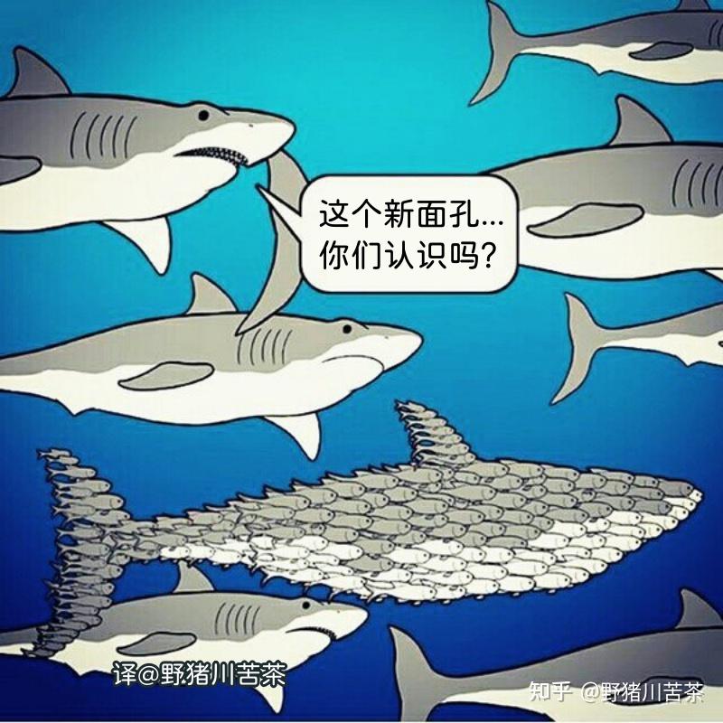 meme梗图:把它丢进烈焰中,毁了它! - 知乎