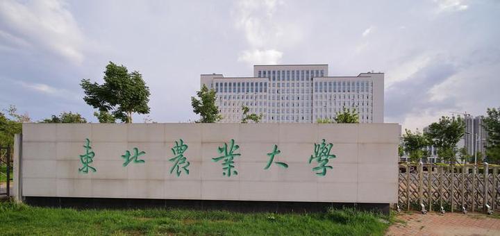 东北农业大学校门图片