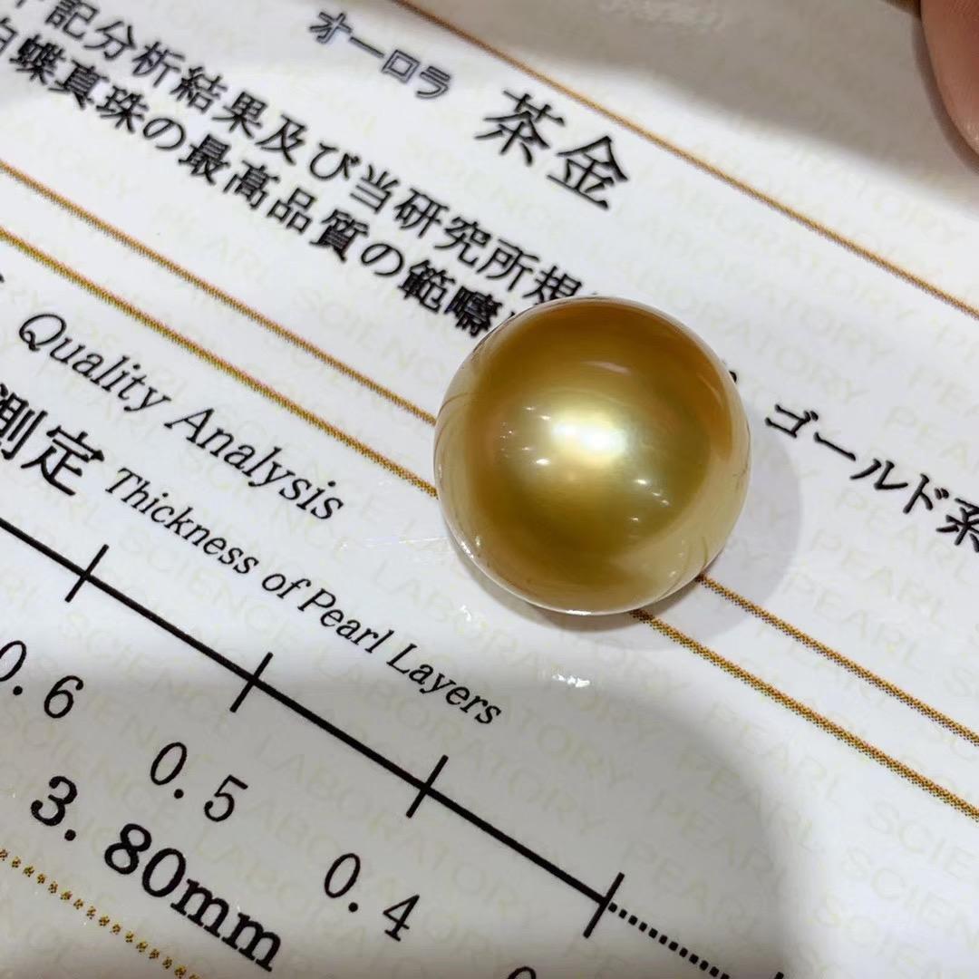 本真珠南洋白蝶真珠　濃茶金12.7㍉s925ピアスBL647 南洋真珠 白蝶濃金超大珠 無調色14.0mm