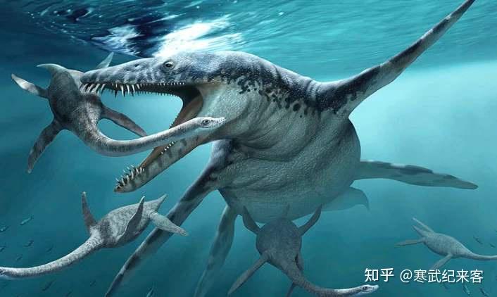 为什么长颈蛇颈龙的脖子进化得那么长