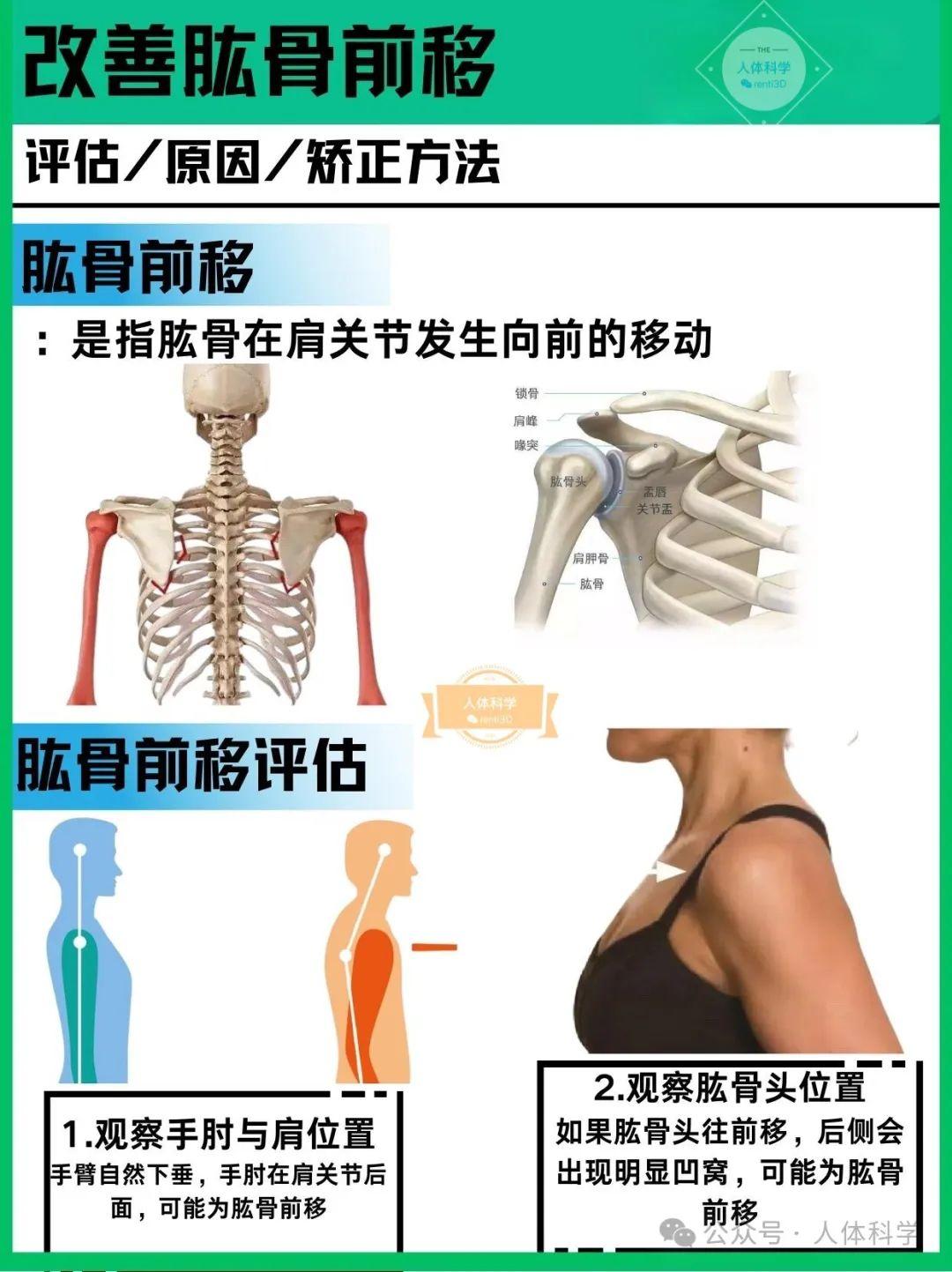 【肱骨前移】形成原因和自我改善方法 - 知乎