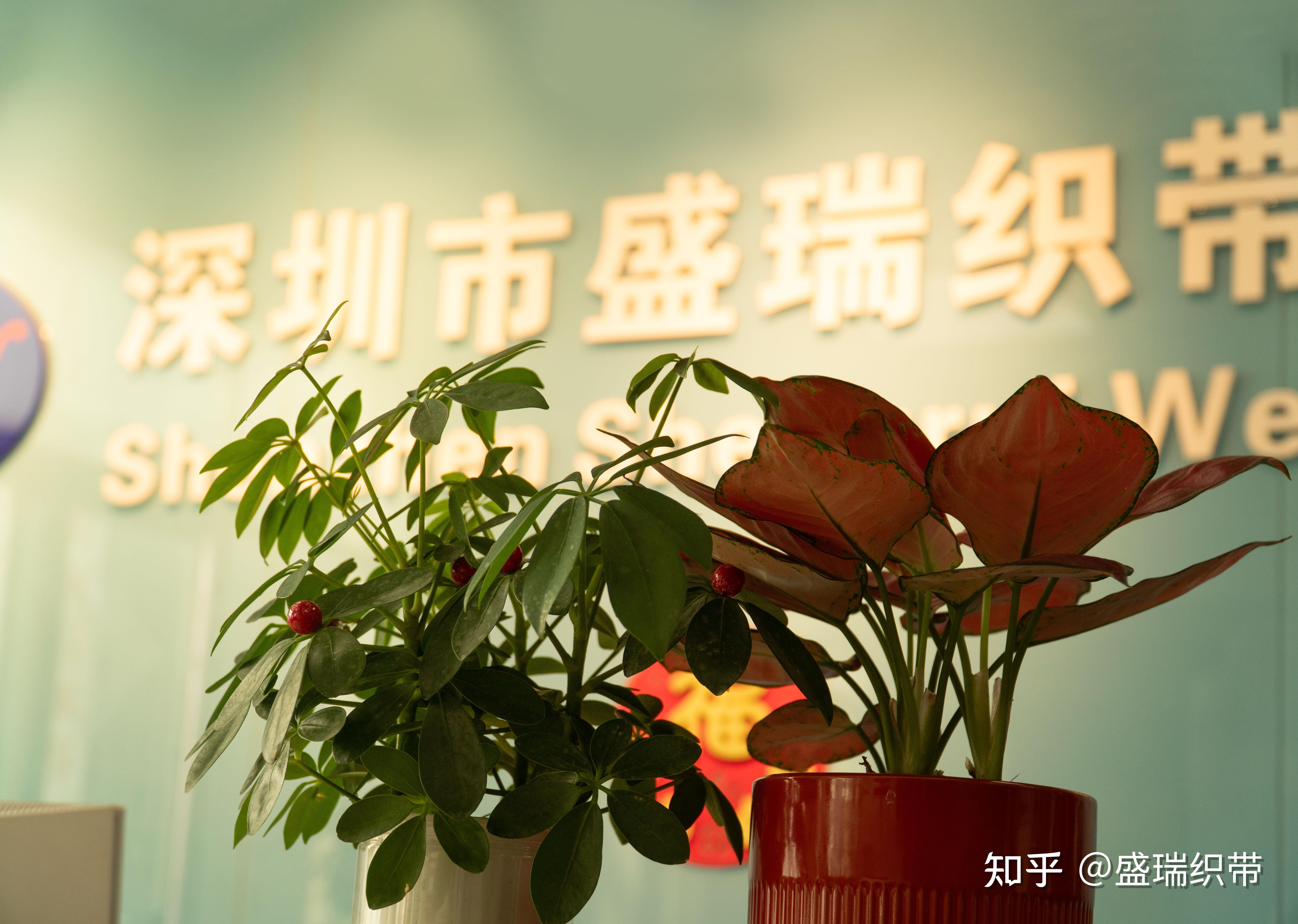 揭秘尼龙织带:在不同行业的精彩应用 - 知乎
