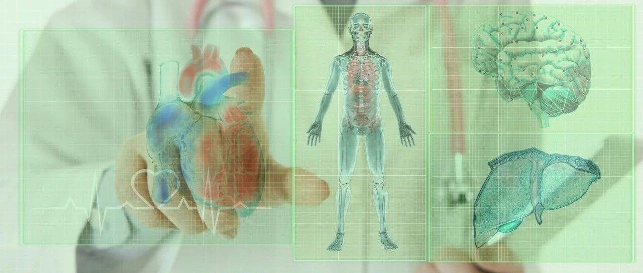 什么是外泌体和内秘体 v2-781a4af95abe7d9f9eeba793da366f44_1440w.jpg?source=172ae18b