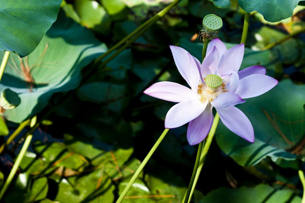 4. 生活配套完善