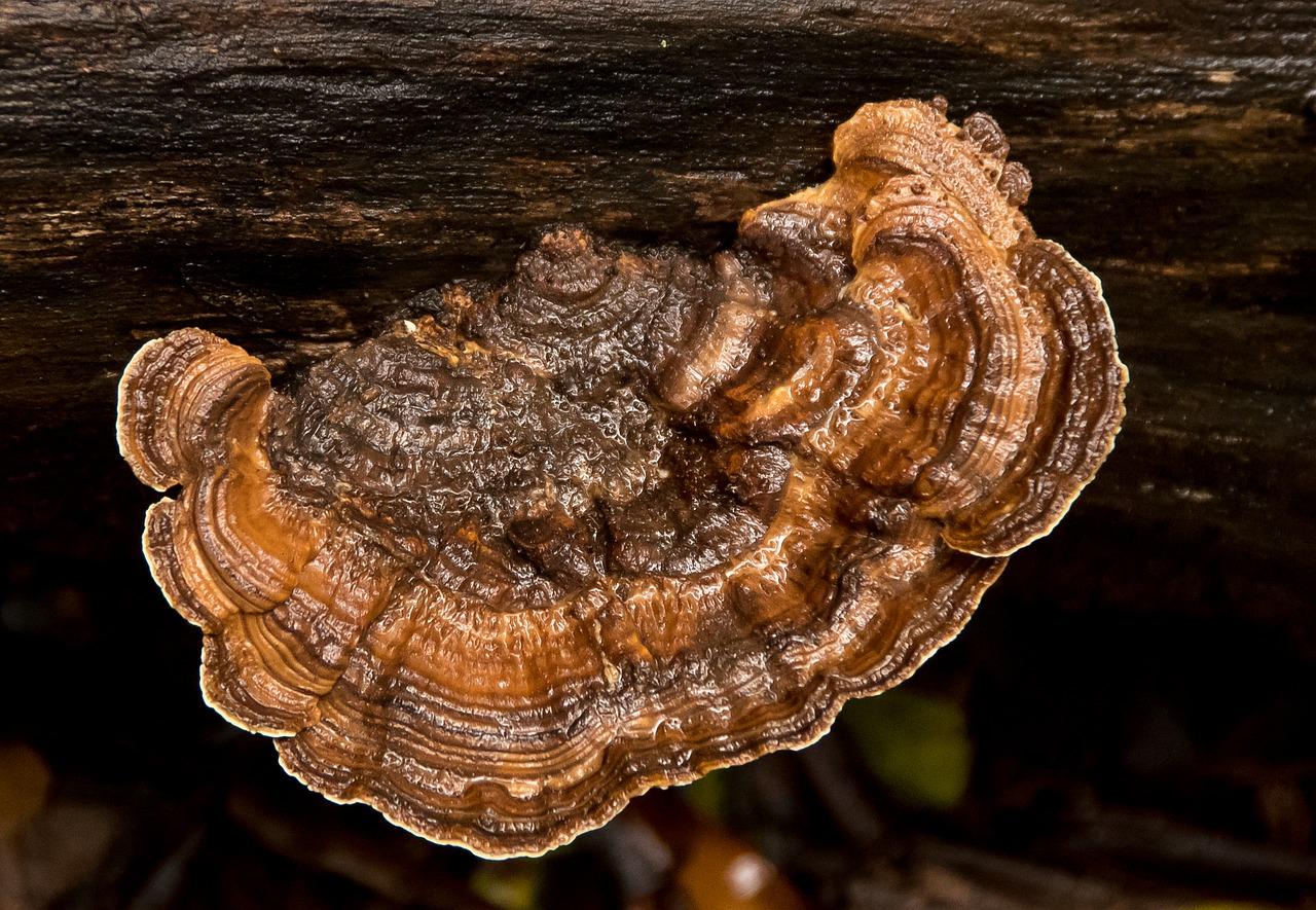 4. 咖色家具风格