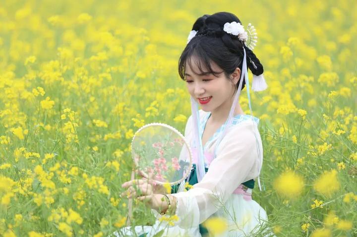 金色的诗意:油菜花之歌 - 知乎