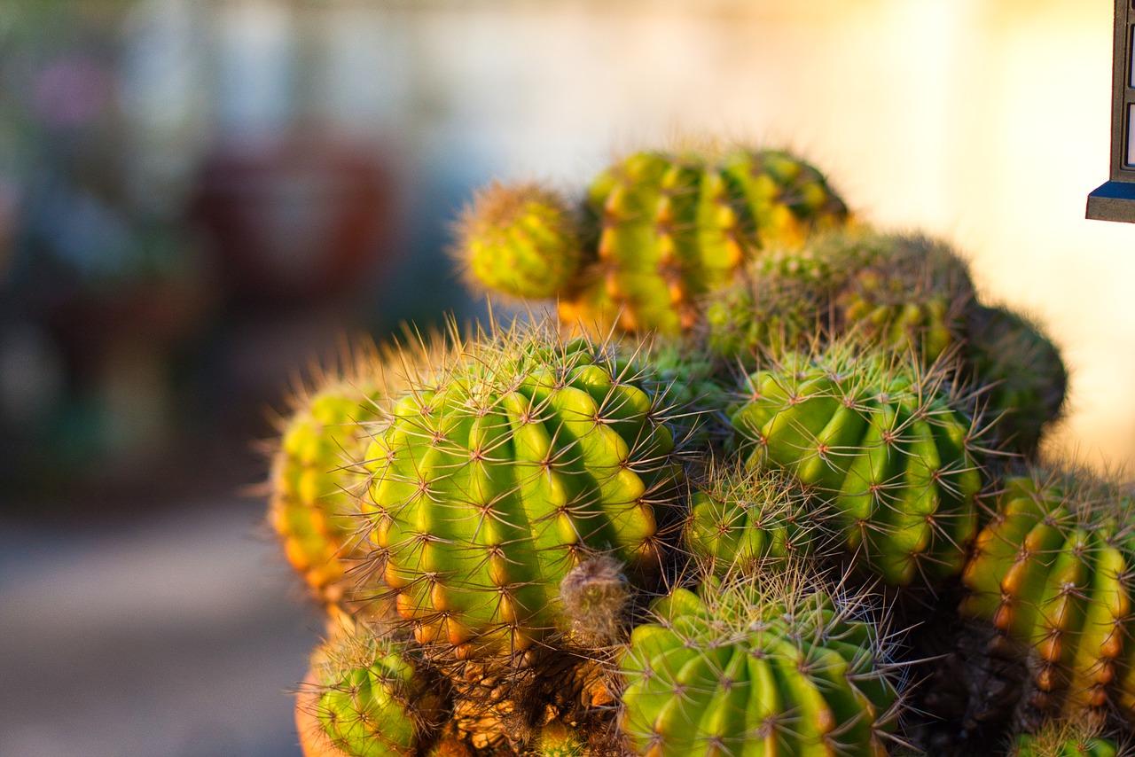 3. 纺前路交通指南