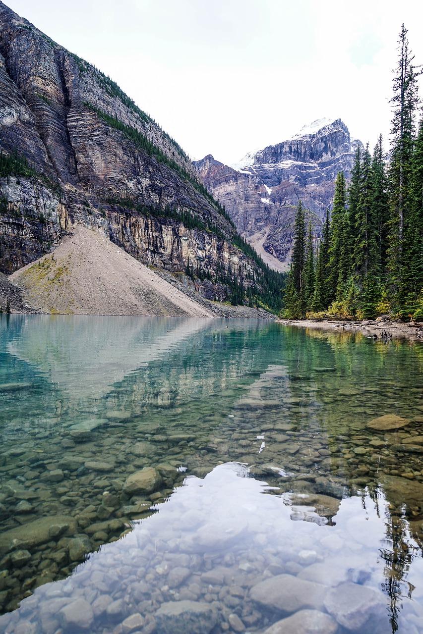 3. 使用体验分享