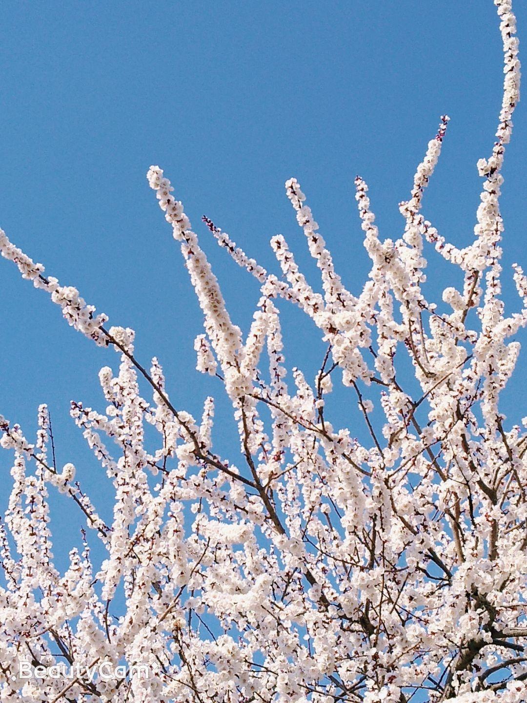 可否送我一些大自然美丽的图片