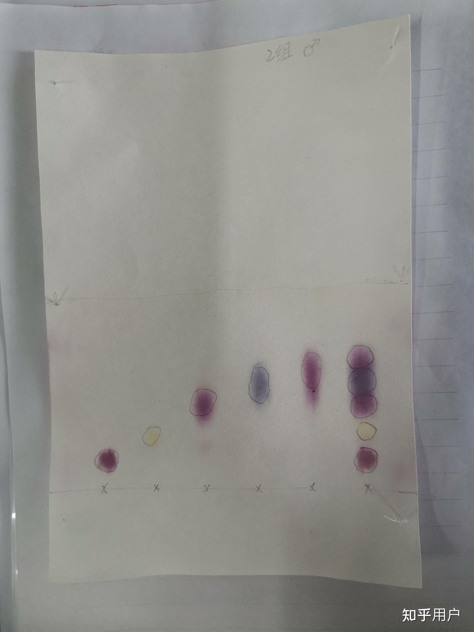 纸色谱分离氨基酸实验中,混合氨基酸的斑点为什么不分开呢? - 知乎