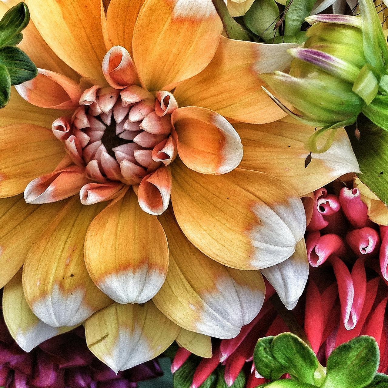 大理小院子多少钱