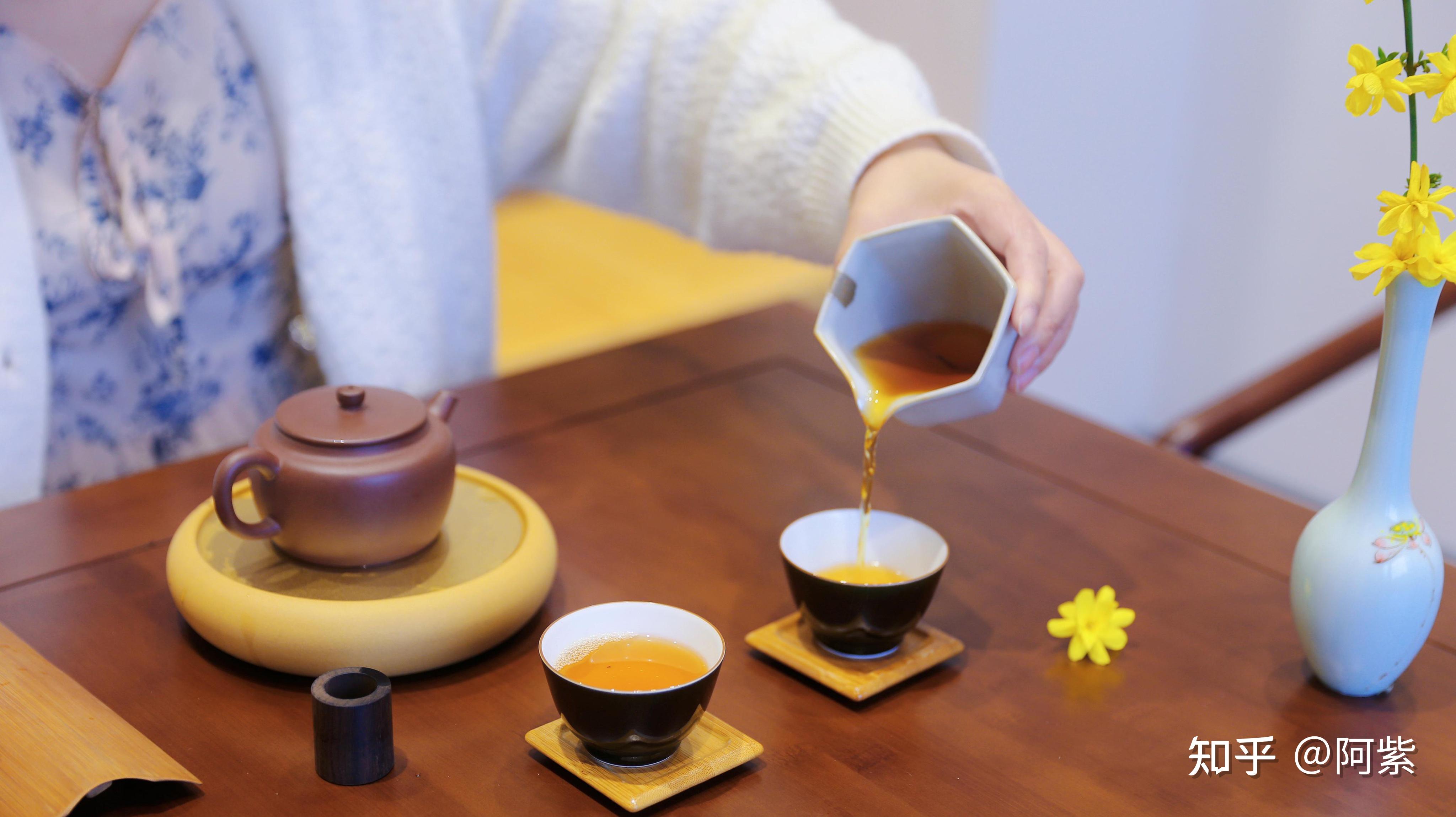 为什么建议一壶泡一茶？ - 知乎