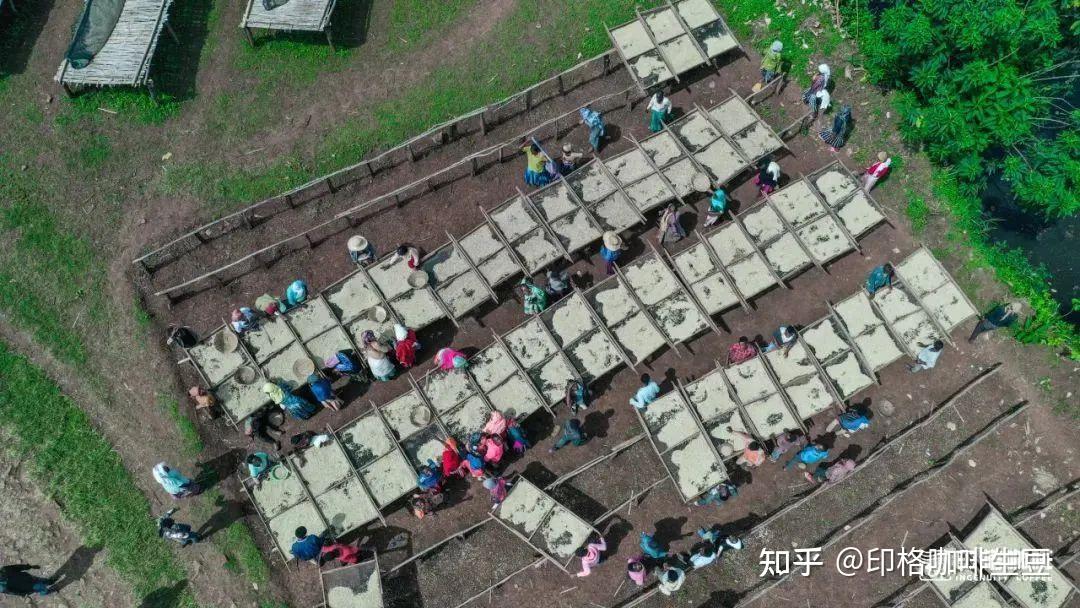 上新 | 埃塞俄比亚新产季西达摩CoE获奖产区精选豆，升级豆单的性价比之选！ - 知乎