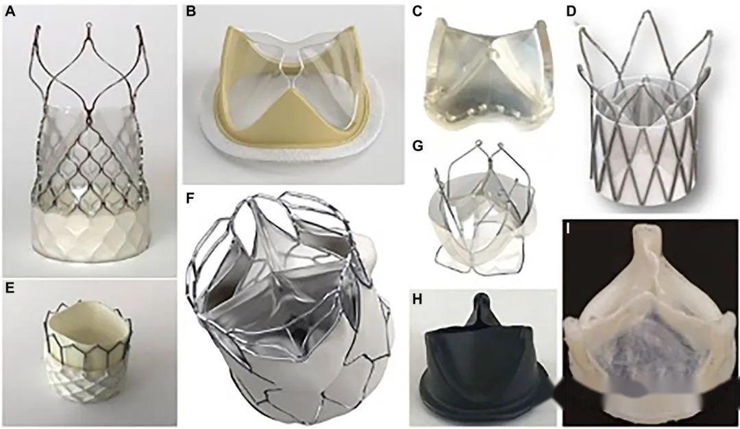 聚合物人工心脏瓣膜:当前技术与未来发展方向