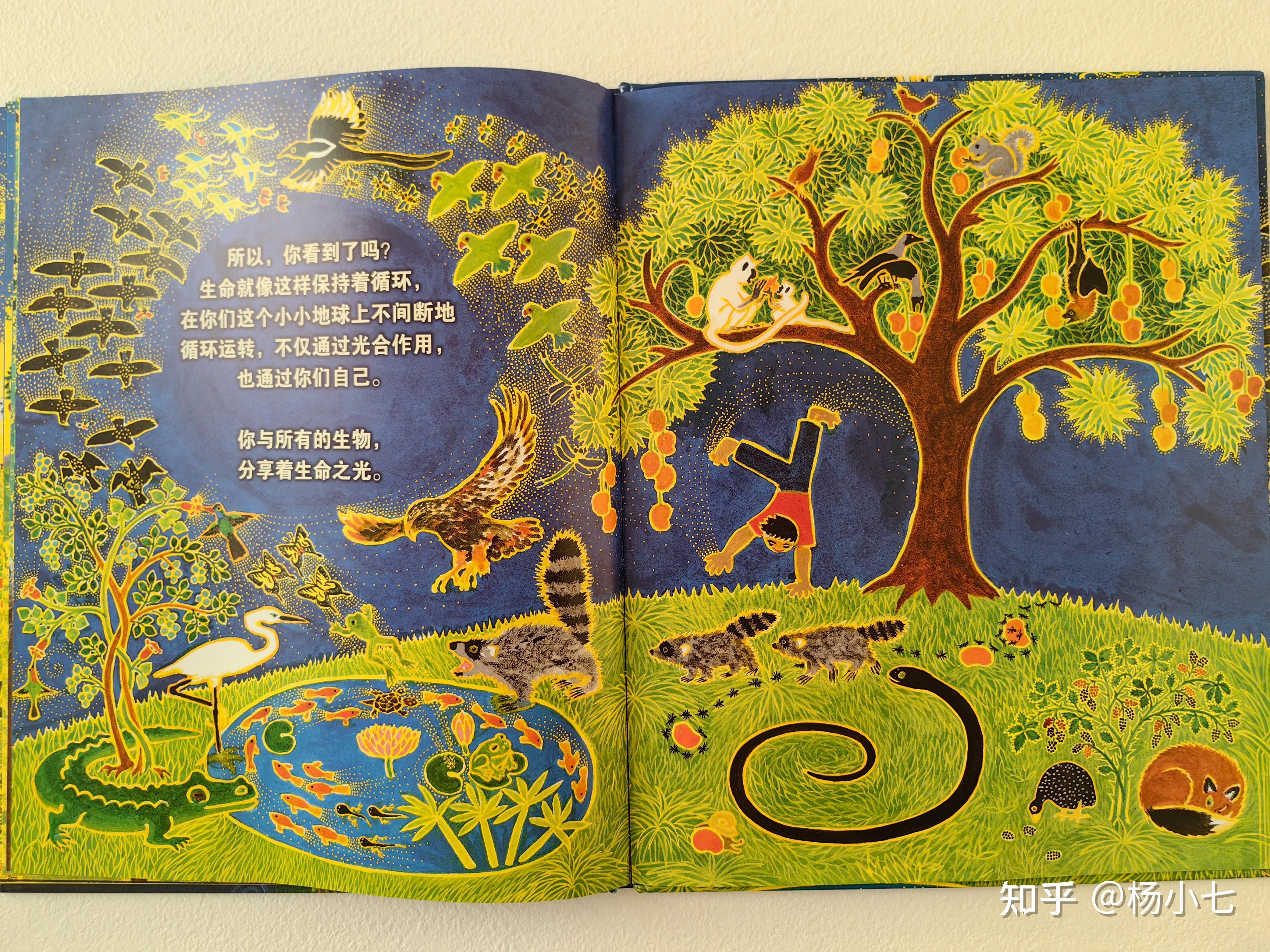 有什么适合即将上小学一年级的孩子看的绘本？ - 知乎