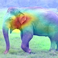 点击打开专栏