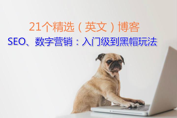 黑帽seo书籍 - 黑帽论坛seo的详细情况
