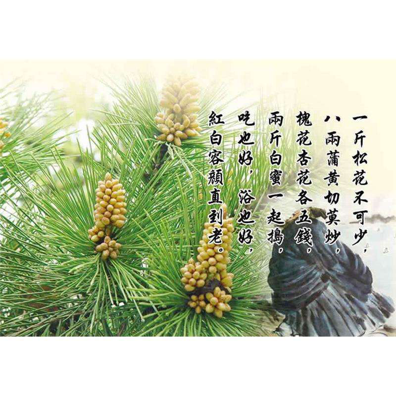 塞上松油松花粉的优势是什么 知乎 塞上松油松花粉的优势是什么 知乎