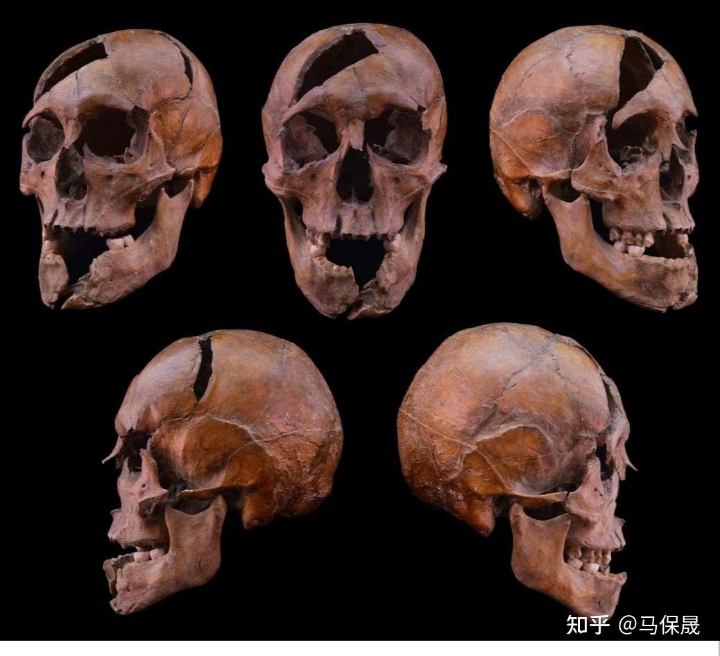 讨论:钦察人和库曼人 - 知乎