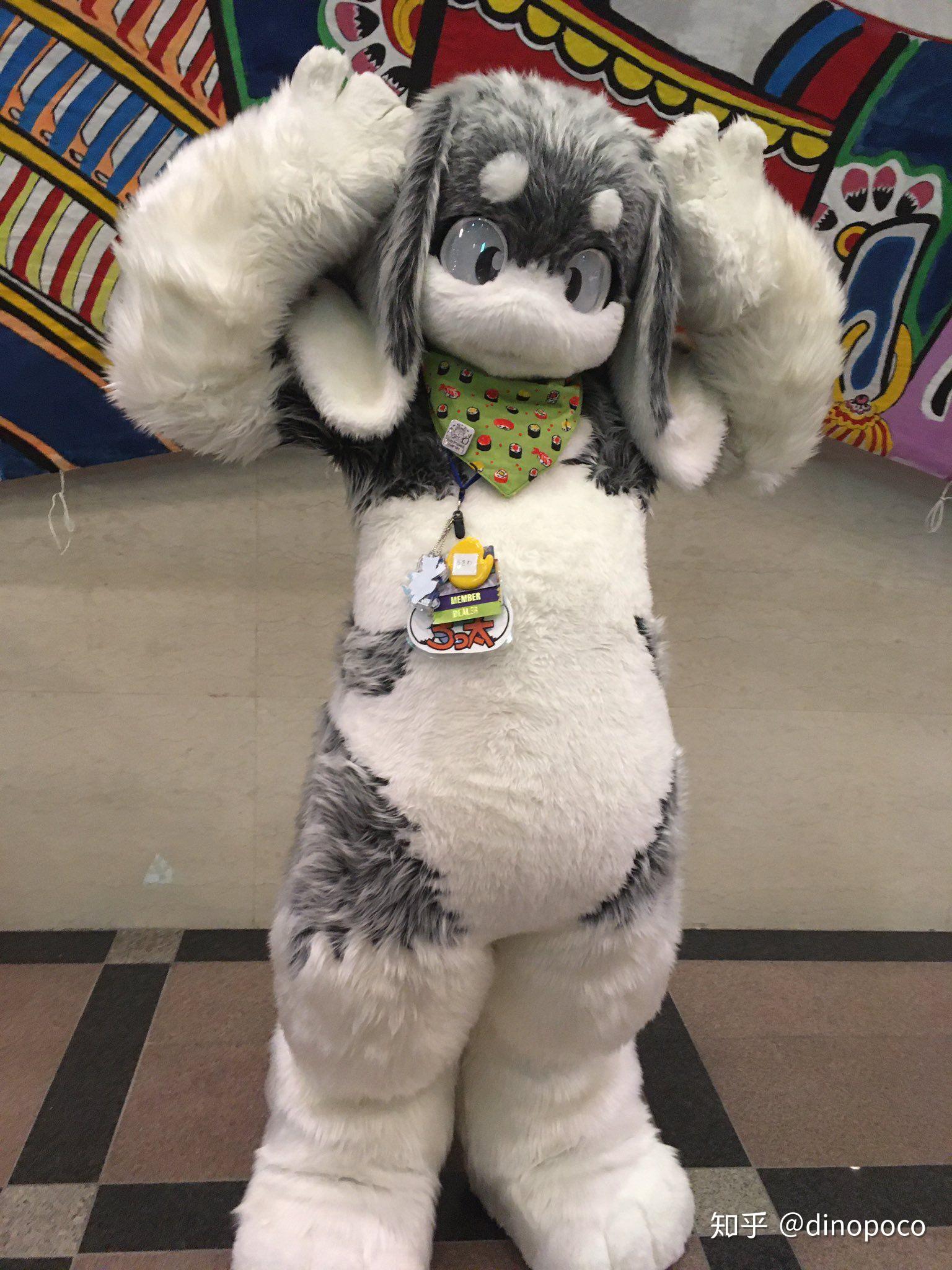 求一些可爱的兔子兽装图片? - 知乎