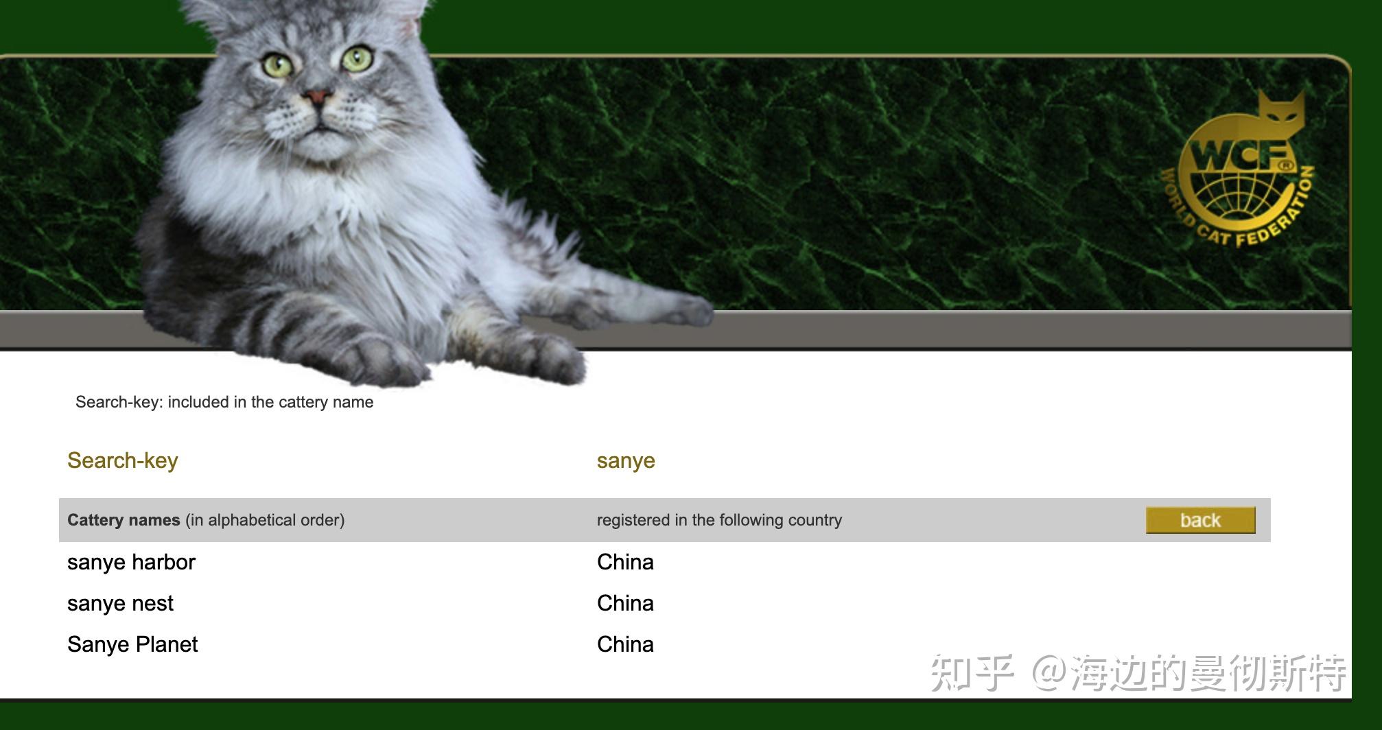 wcf猫协在哪里能看金渐层的品种标准包括眼睛颜色爪子颜色求连接