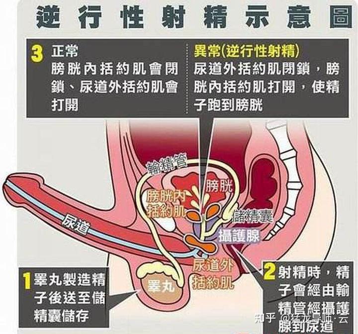 男生遗精男孩图片